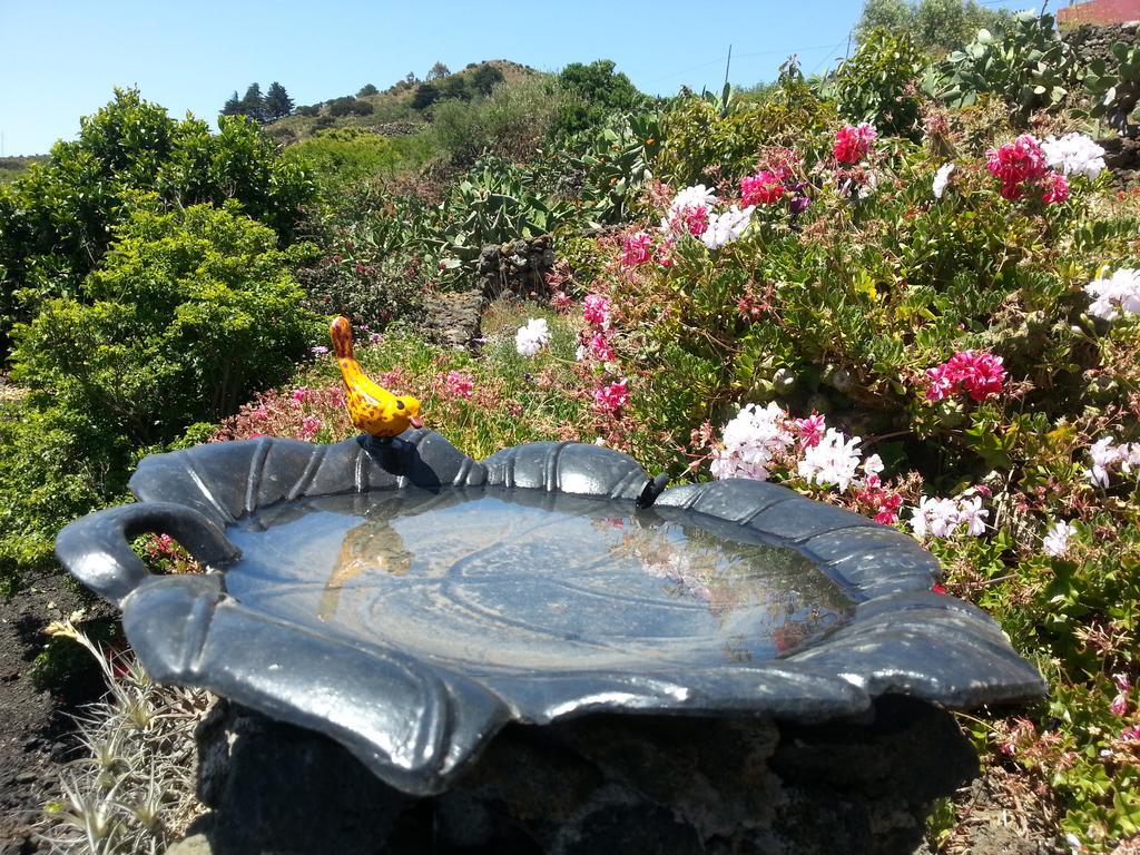 Casa Rural El Valle San Andrés エクステリア 写真